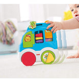 Centro De Actividades Bebe Animales Fisher Price Cmv95