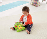 Centro De Actividades Bebe Animales Fisher Price Cmv95