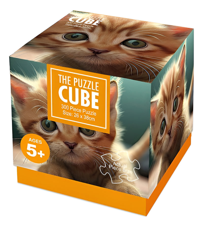 Rompecabezas Tomax Puzzle Cube 300 Piezas 2184