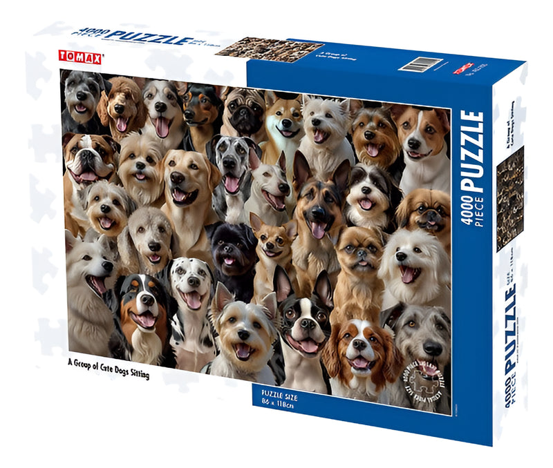 Rompecabezas Jigsaw Puzzle 4000 Piezas Tomax 3601