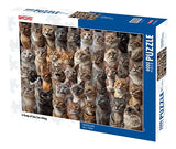 Rompecabezas Tomax 400-056 4000 Piezas Puzzle Gatos