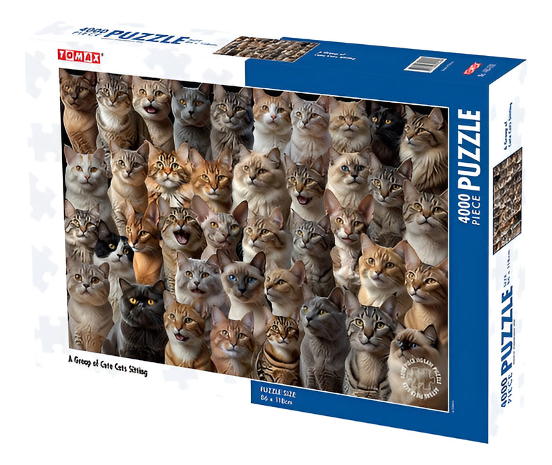 Rompecabezas Jigsaw Puzzle 4000 Piezas Tomax 3620