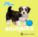 Animales Bebe Bochinche Libro Para Niños 2219