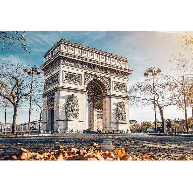 Rompecabezas Jigsaw Puzzle 1000 Piezas Tomax 3383